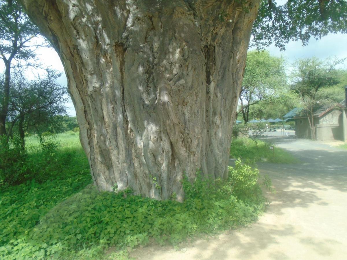 Themi Valley Eco And Cultural Tourism Homestay Arusha Exterior foto