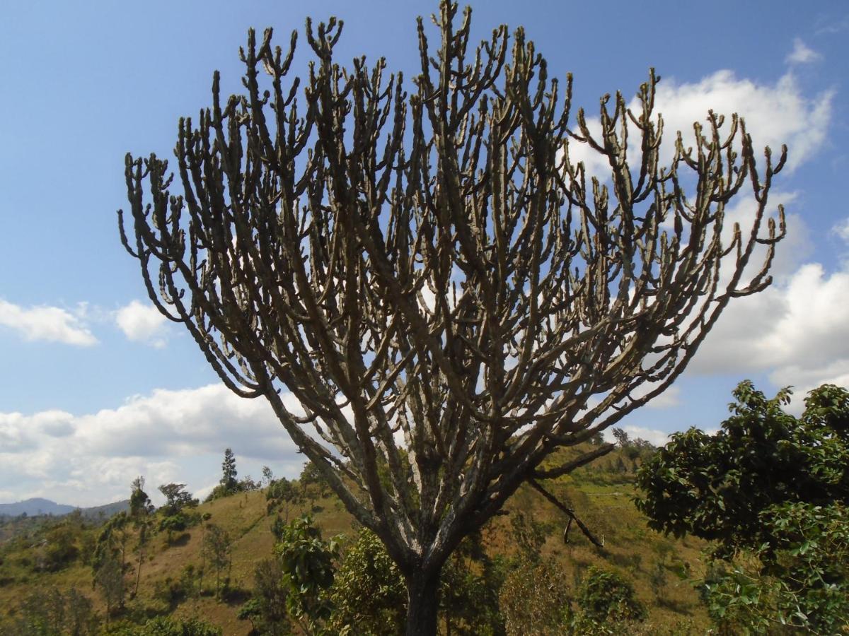 Themi Valley Eco And Cultural Tourism Homestay Arusha Exterior foto