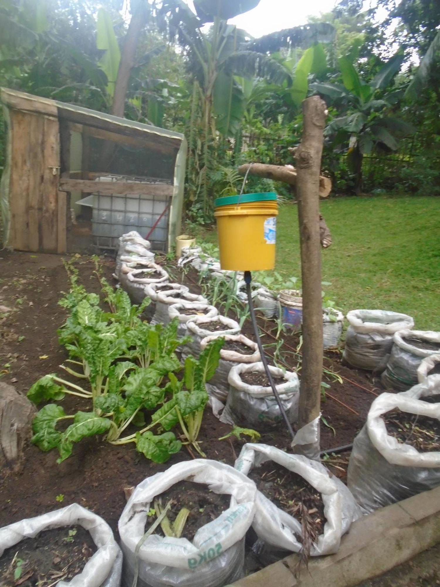 Themi Valley Eco And Cultural Tourism Homestay Arusha Exterior foto