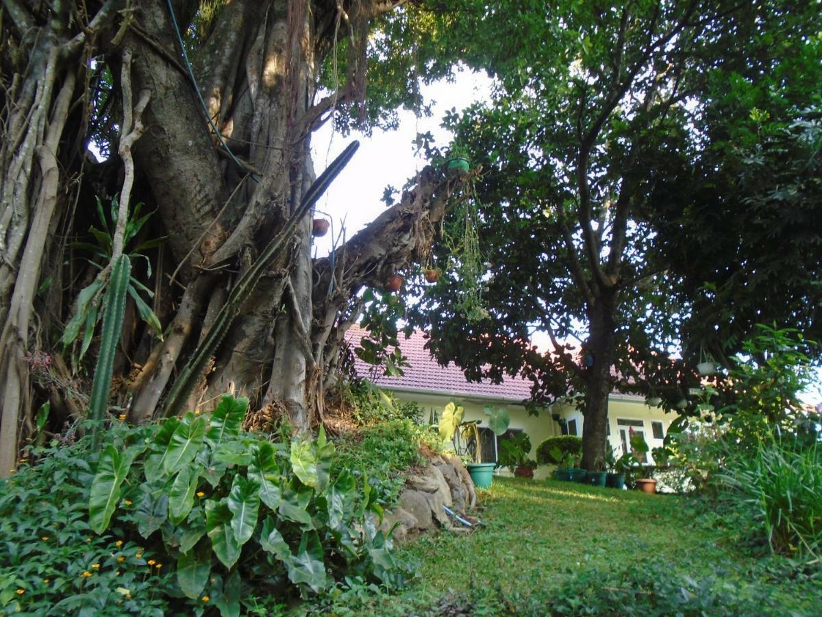 Themi Valley Eco And Cultural Tourism Homestay Arusha Exterior foto