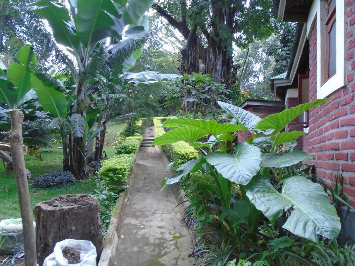 Themi Valley Eco And Cultural Tourism Homestay Arusha Exterior foto